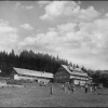 Krkonoše - Davidovy boudy 1960